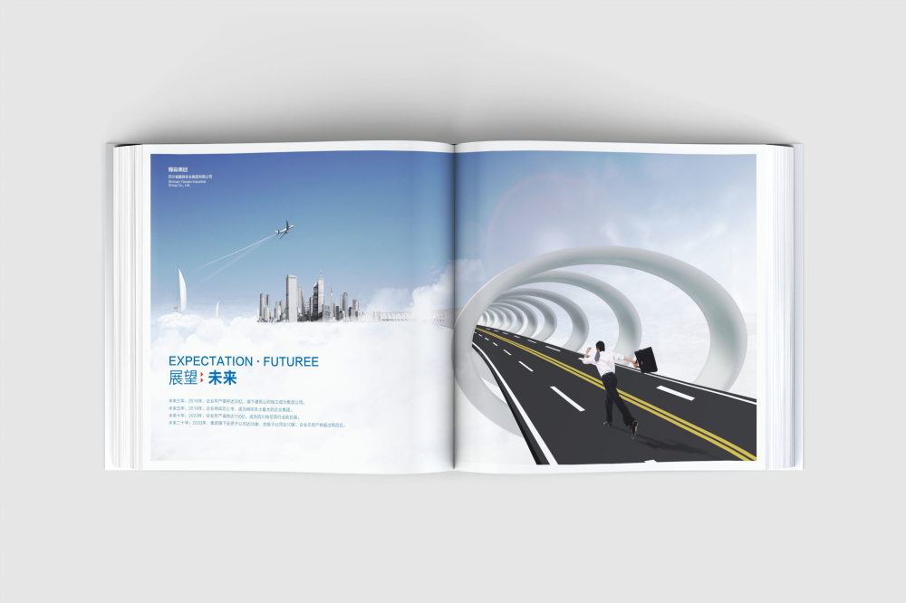 庆元县画册设计